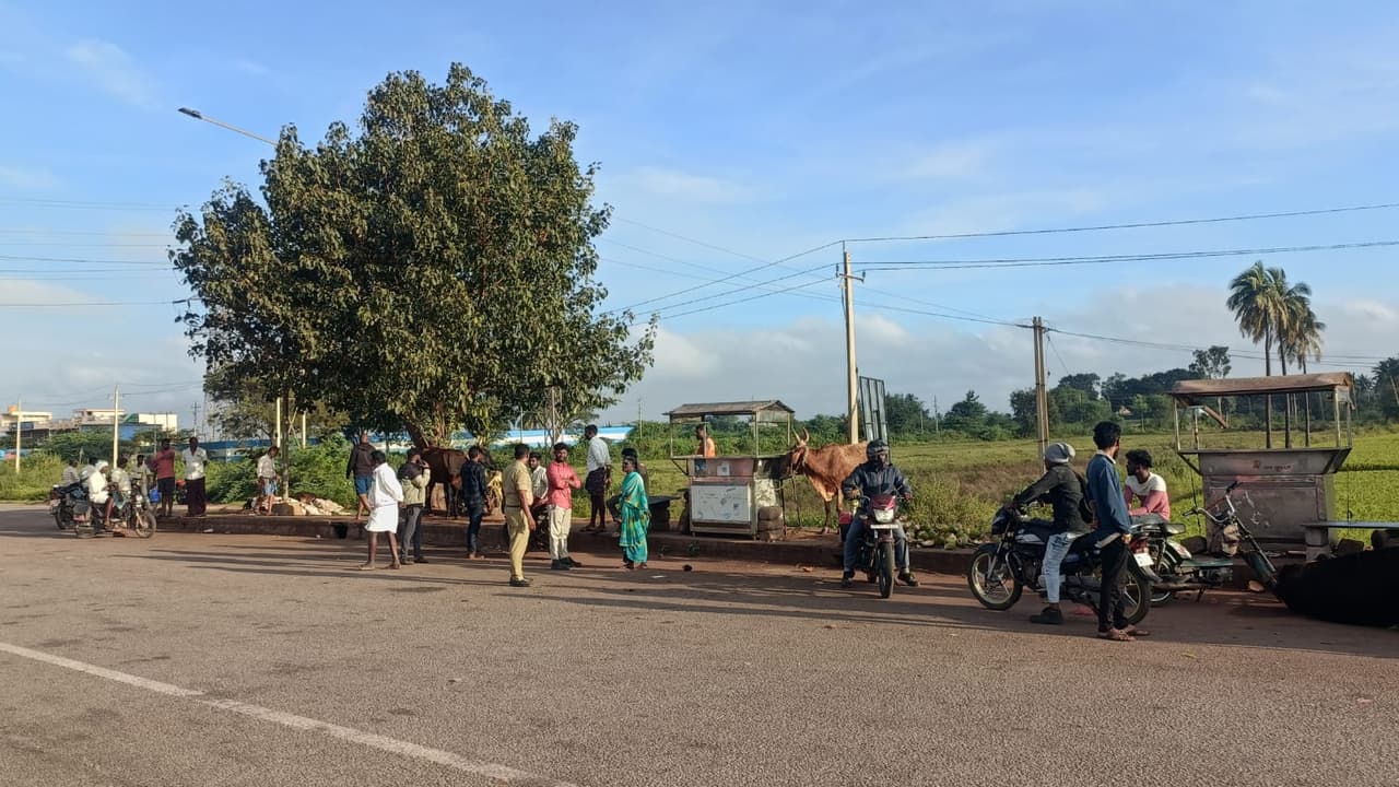 Tragic Accident in Koppal Container Carrying Cows Overturns 8 Dead