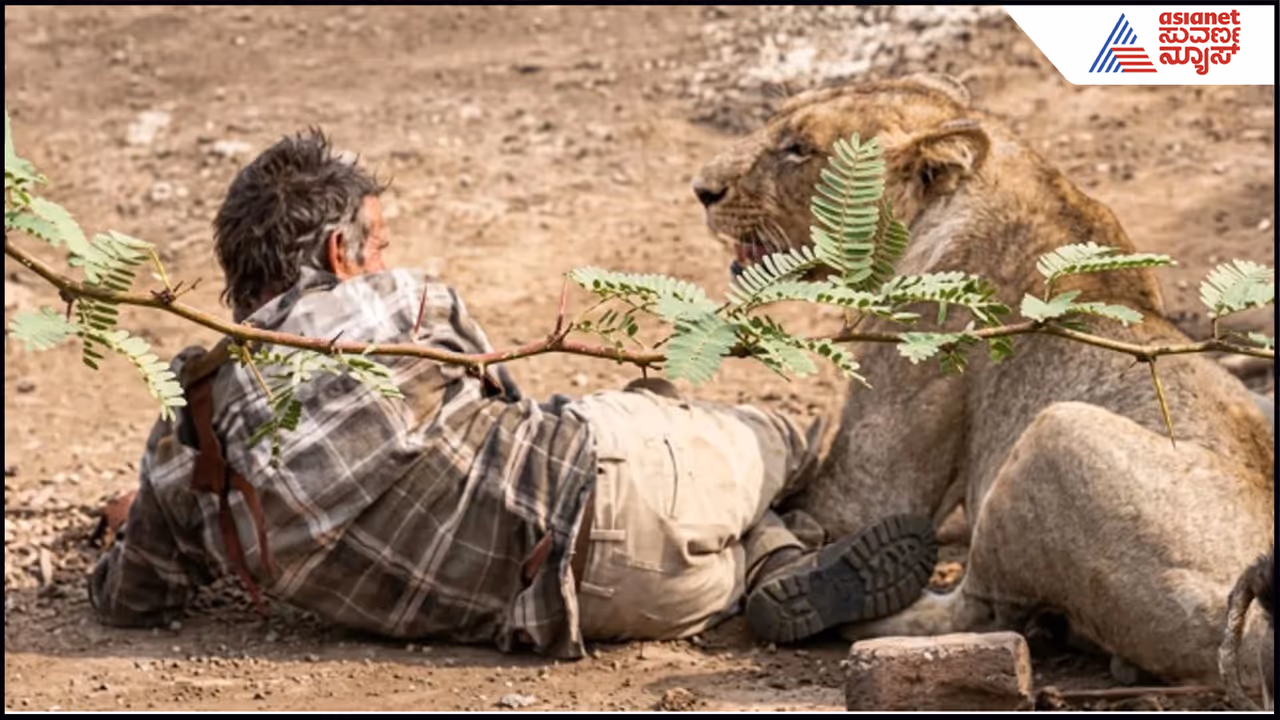 Lion and Farmer Lion and Farmer