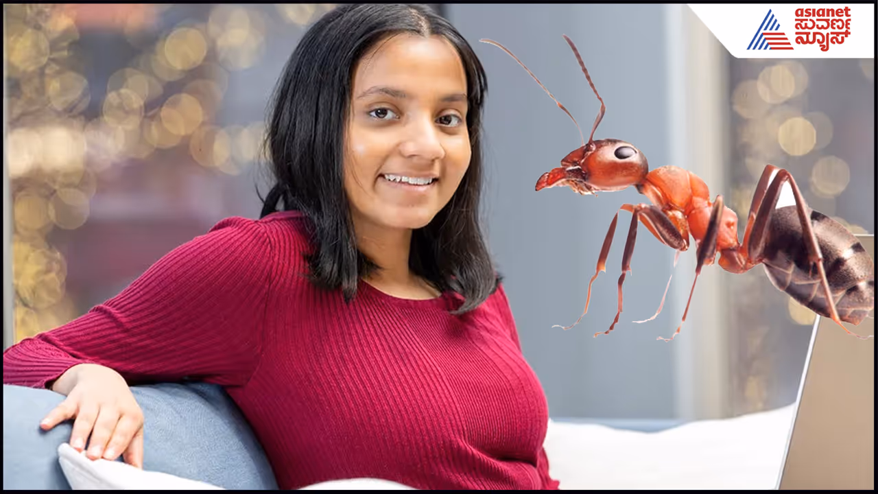 Ananya Gulur Nagendra Ananya Gulur Nagendra
