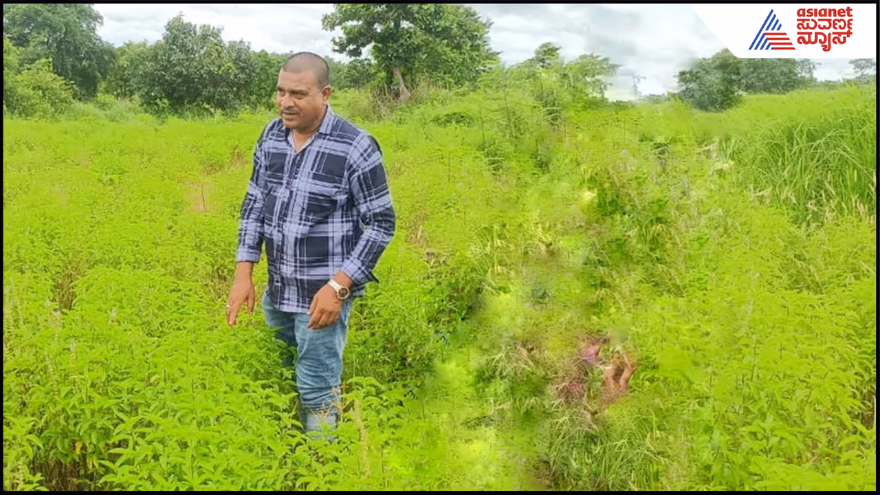 Alok Patnayak Alok Patnayak