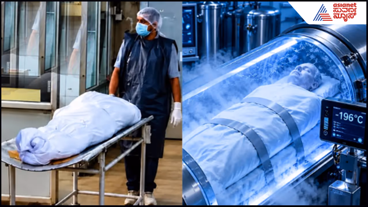 Body In Freezer Body In Freezer