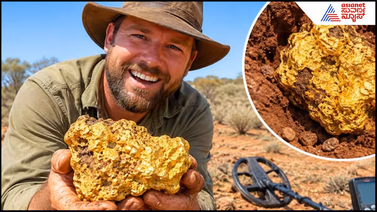 Gold Nugget Gold Nugget