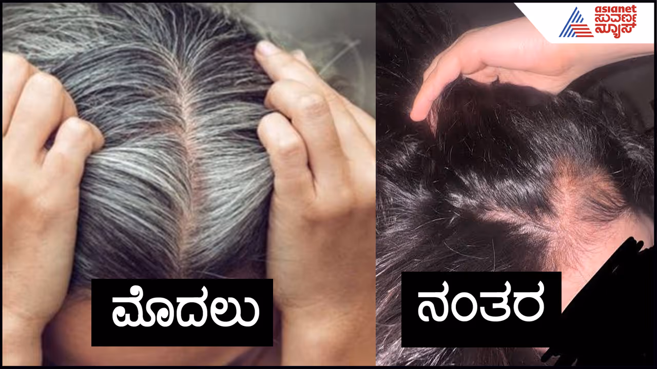 Natural Hair Dye Natural Hair Dye