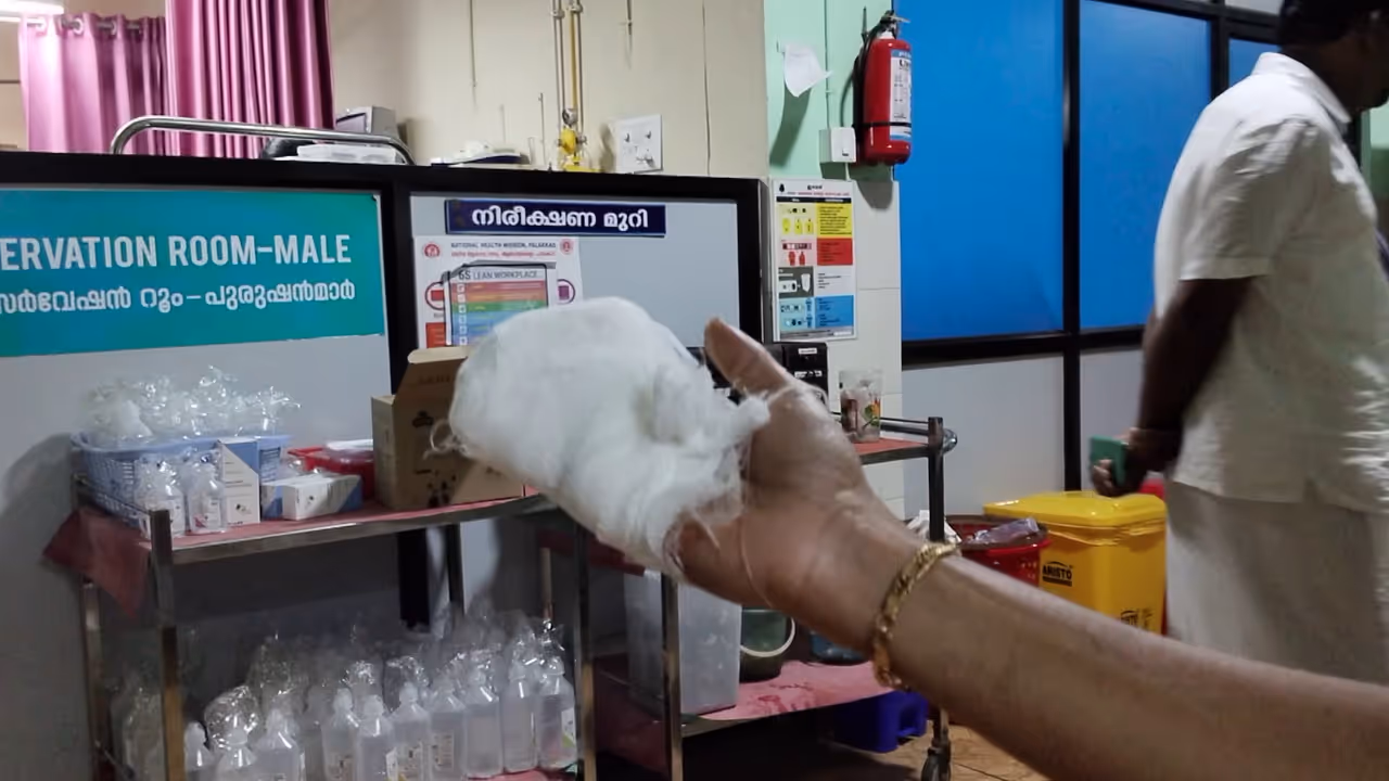 palakkad stray dog attack palakkad stray dog attack