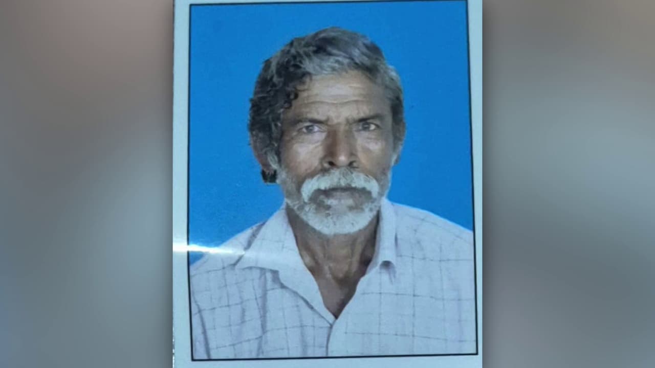 Elephant attack Elephant attack