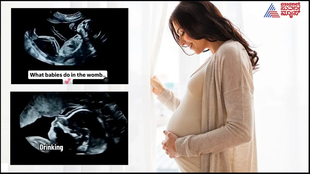 What a baby does in its mothers womb 