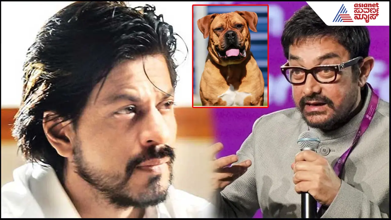Aamir Khan and Shahrukh Khan