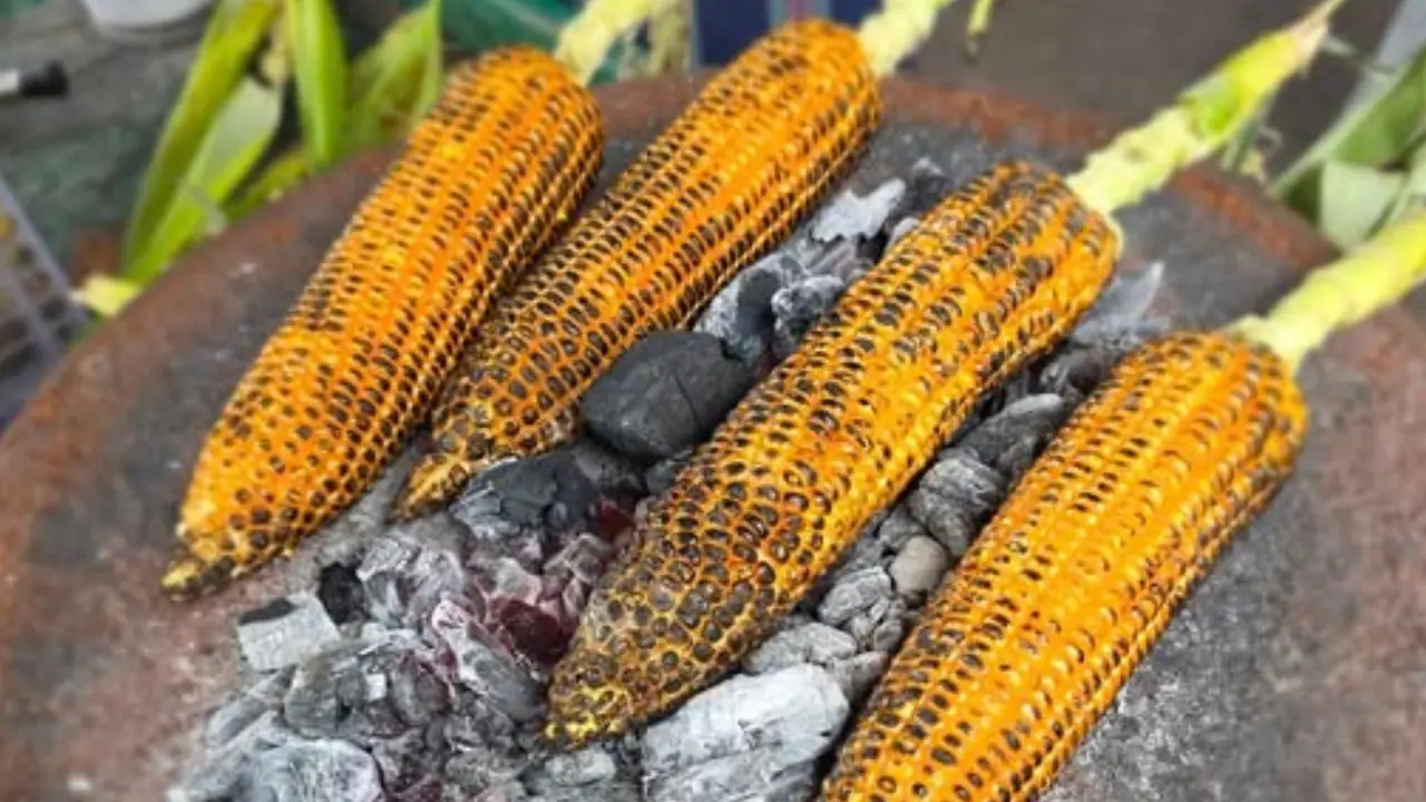 roasted corn