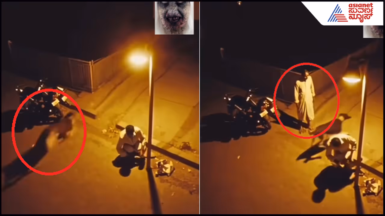 A dog turned into a human