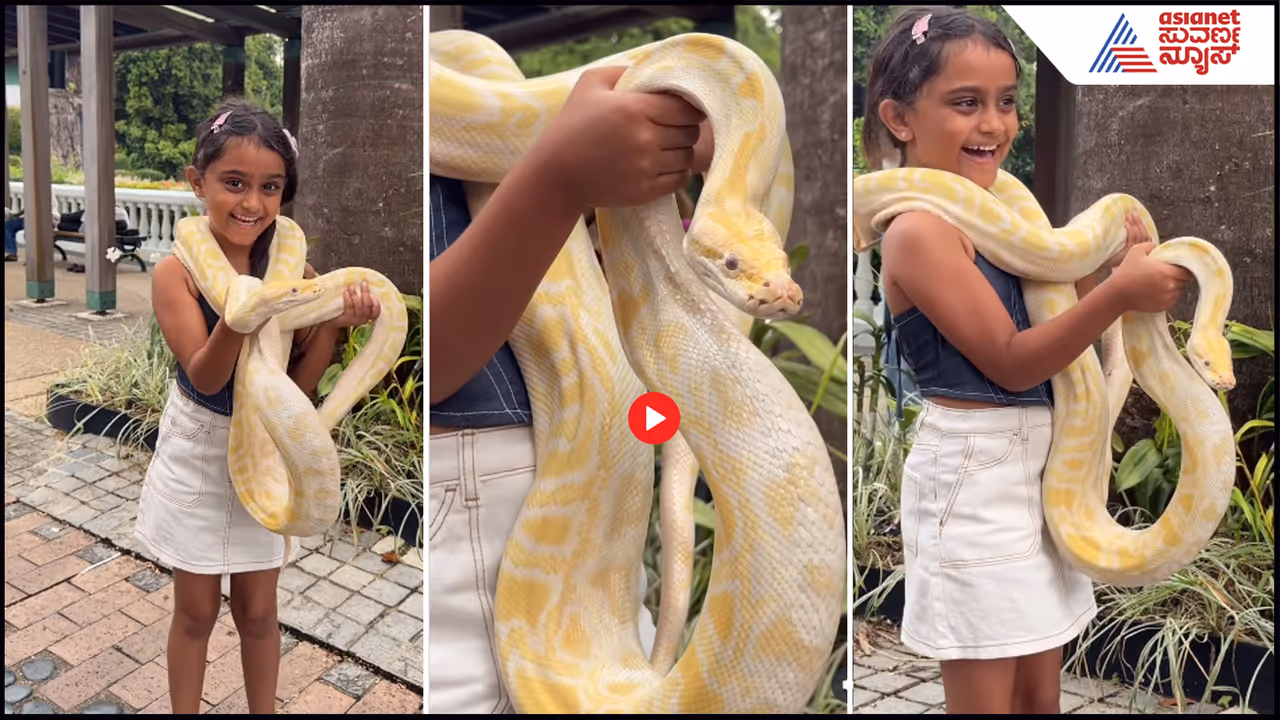 Naa Ninna Bidalaare Hita with Python 