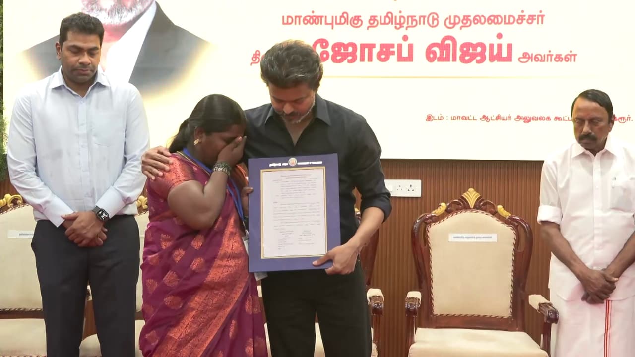 Vijay Vijay