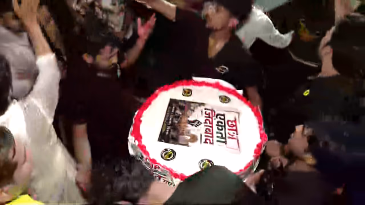 celebration cjp celebration cjp