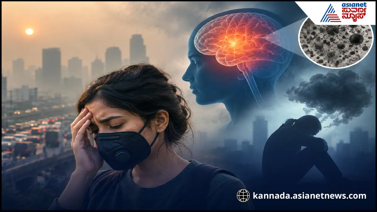 Air Pollution Air Pollution