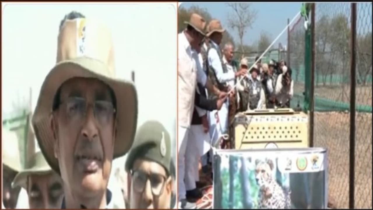 cm shivraj singh chouhan cm shivraj singh chouhan