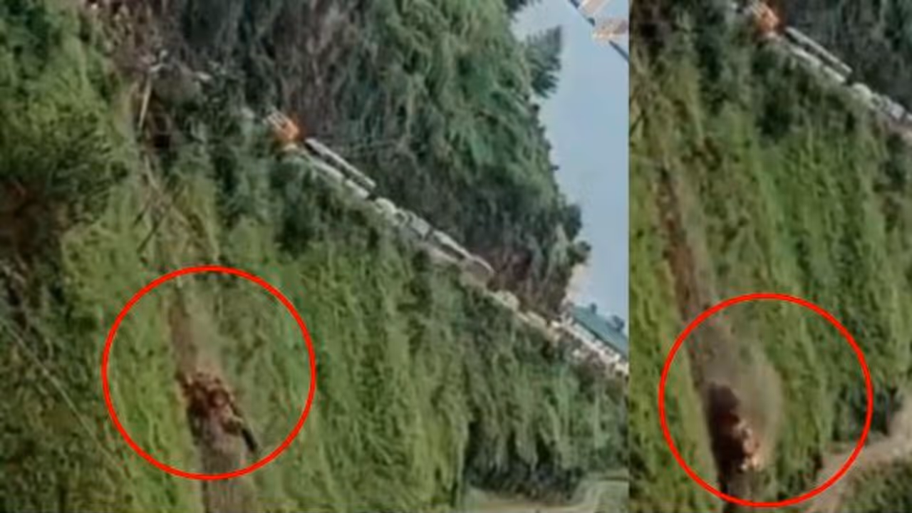 Bulldozer Falls into Gorge Bulldozer Falls into Gorge