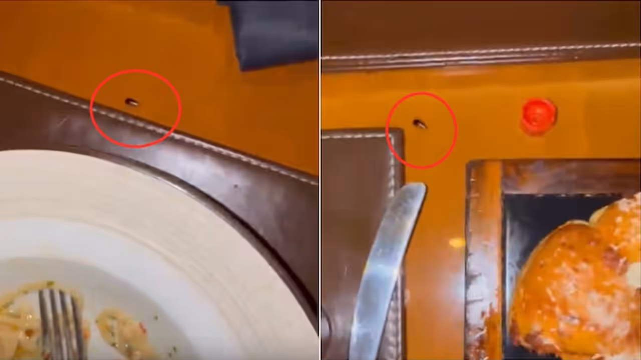 ‘Roachie’ Crashes Dinner At JW Marriott: ‘Roachie’ Crashes Dinner At JW Marriott: