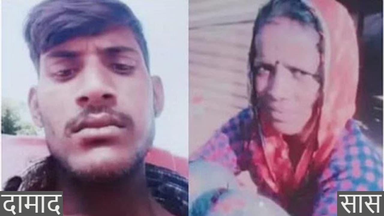 सास और दामाद सास और दामाद