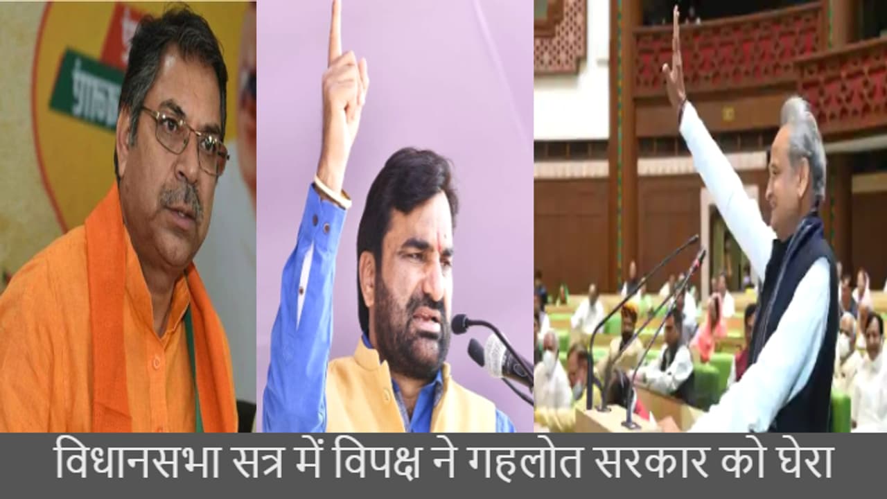 विधानसभा शेसन