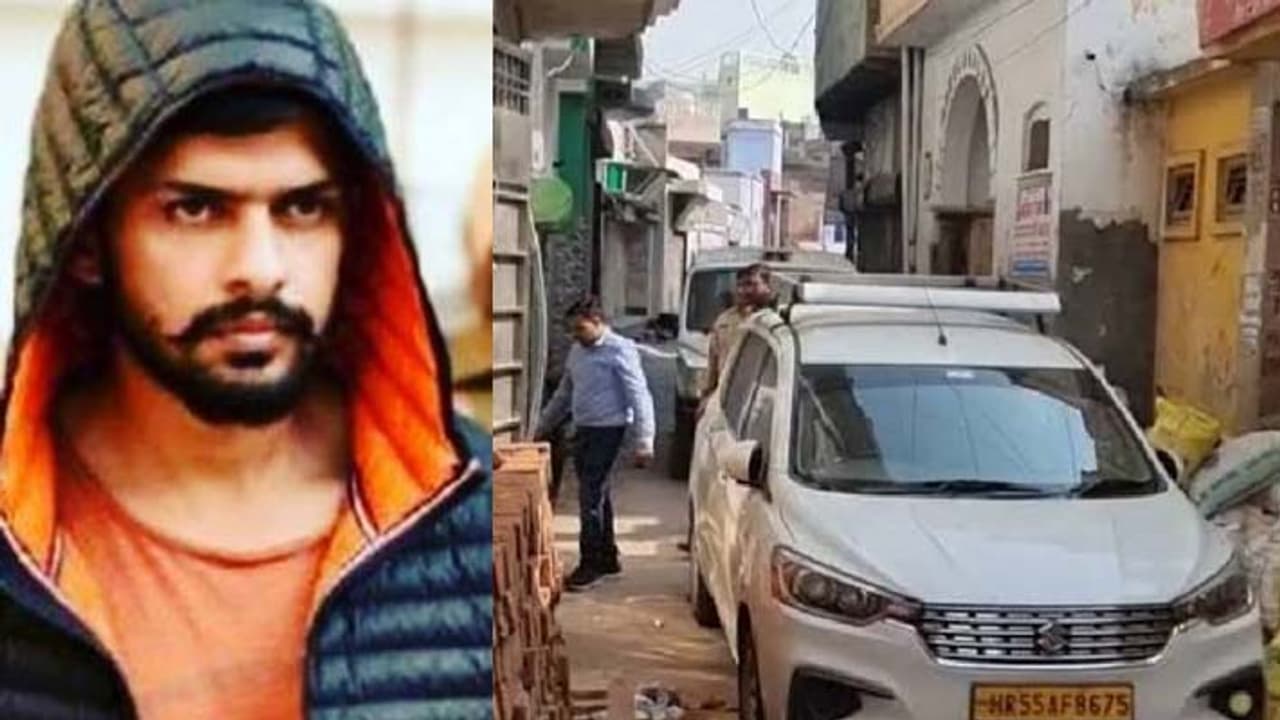 gangster Lawrence gangster Lawrence