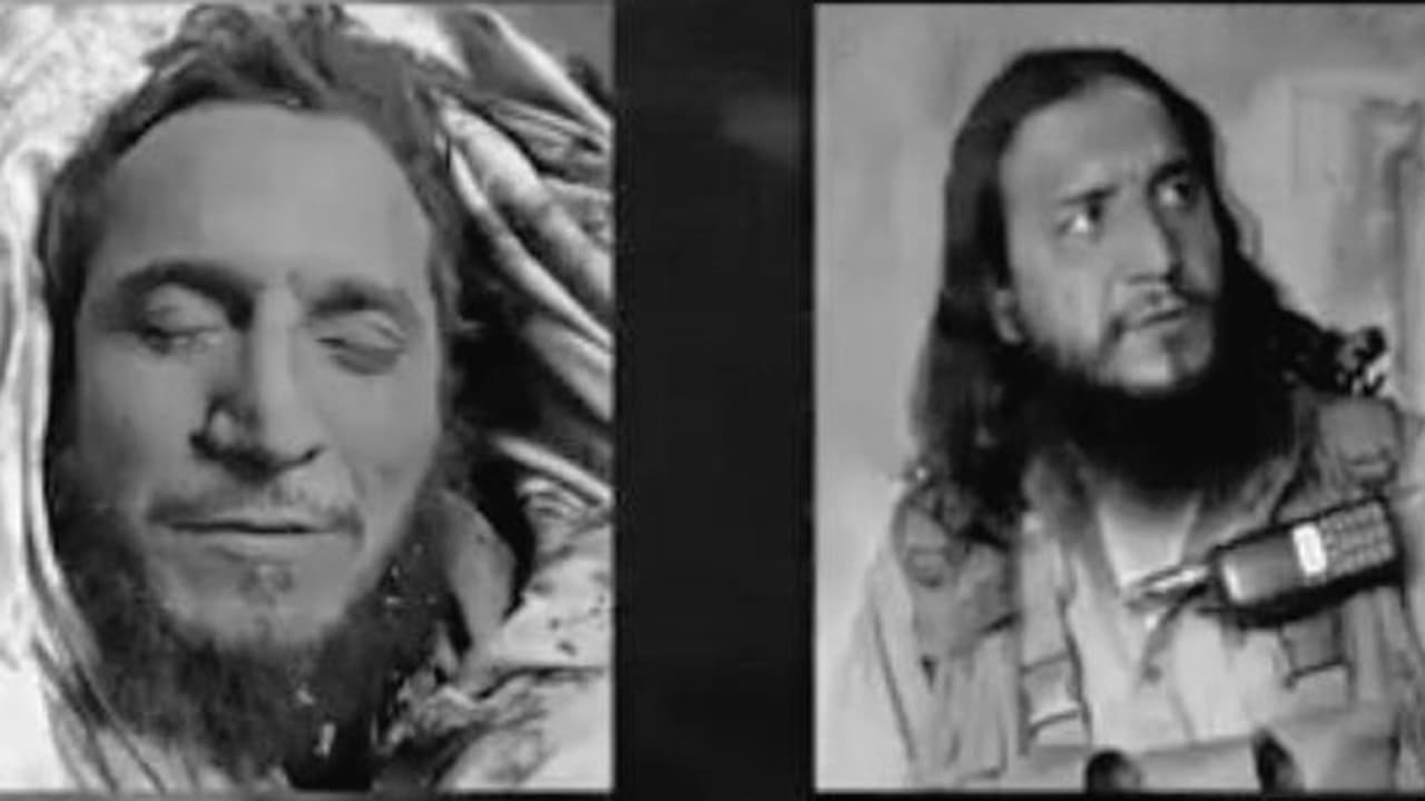 Qari Fateh killed Qari Fateh killed