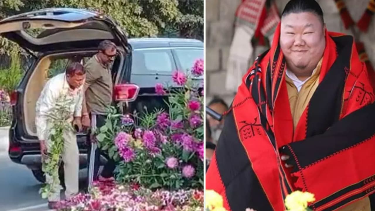 G20 flower pots thief G20 flower pots thief