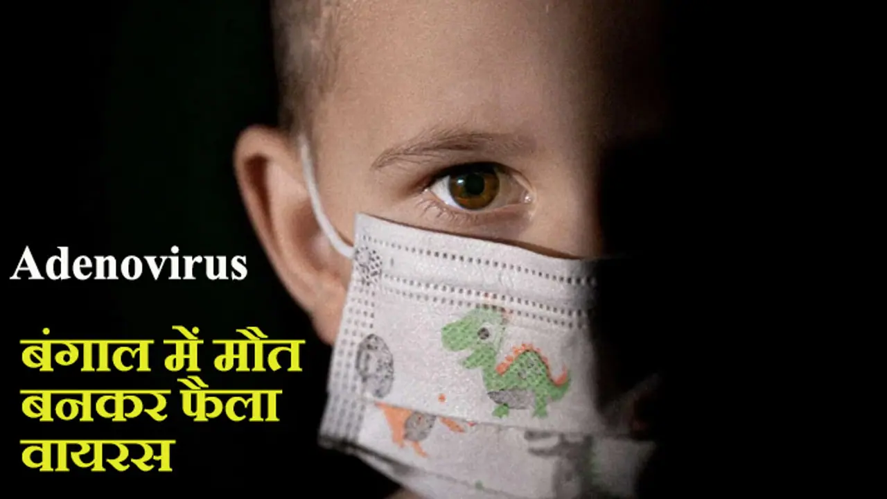 What Is Adenovirus What Is Adenovirus