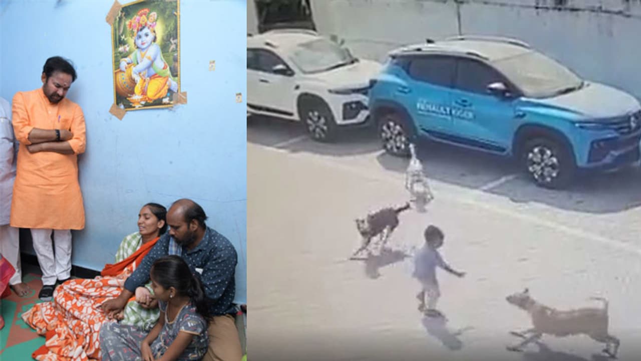 child mauled to death by stray dogs in hyderabad