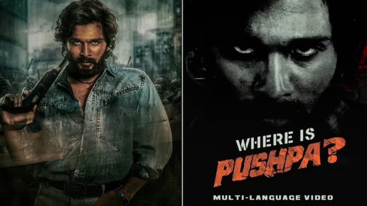 allu arjun pushpa 2 promo