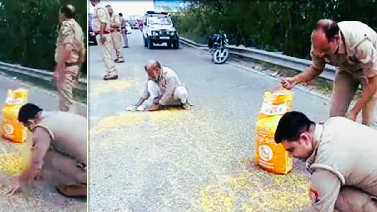 UP police Help Elderly Man Collect Pulses Spilled On Road UP police Help Elderly Man Collect Pulses Spilled On Road