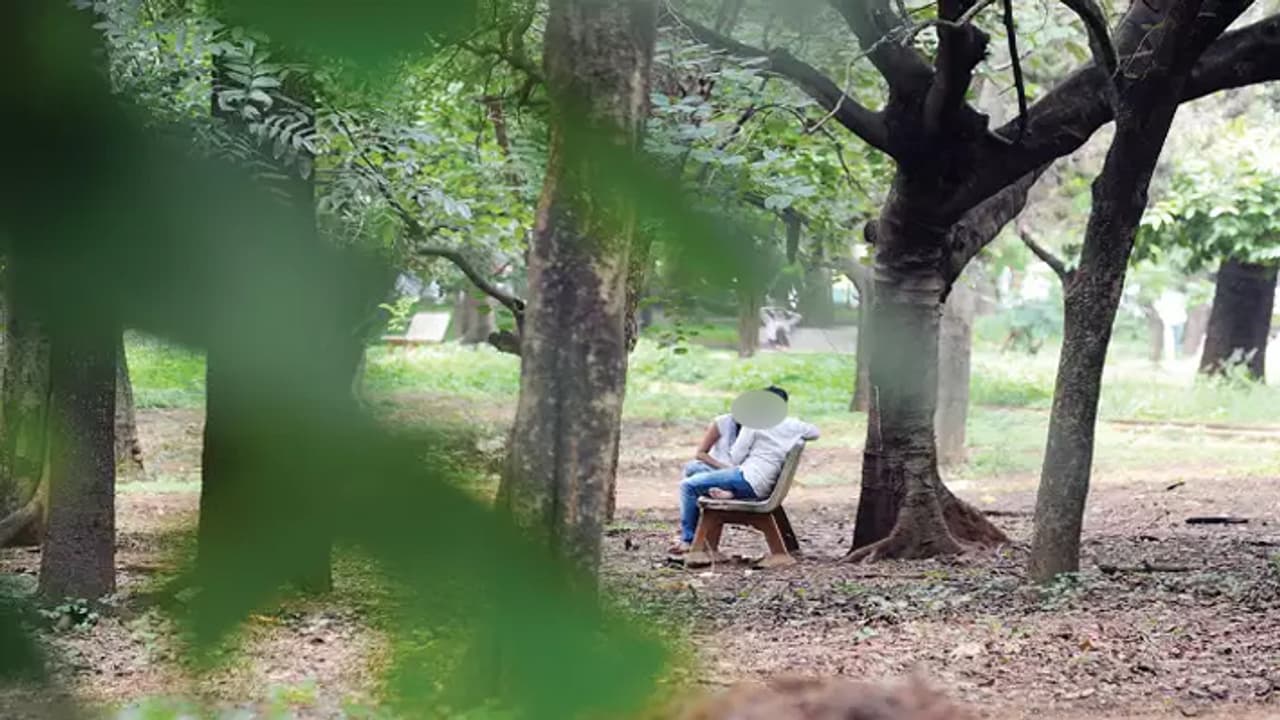 CUBBON PARK BANGLORE 