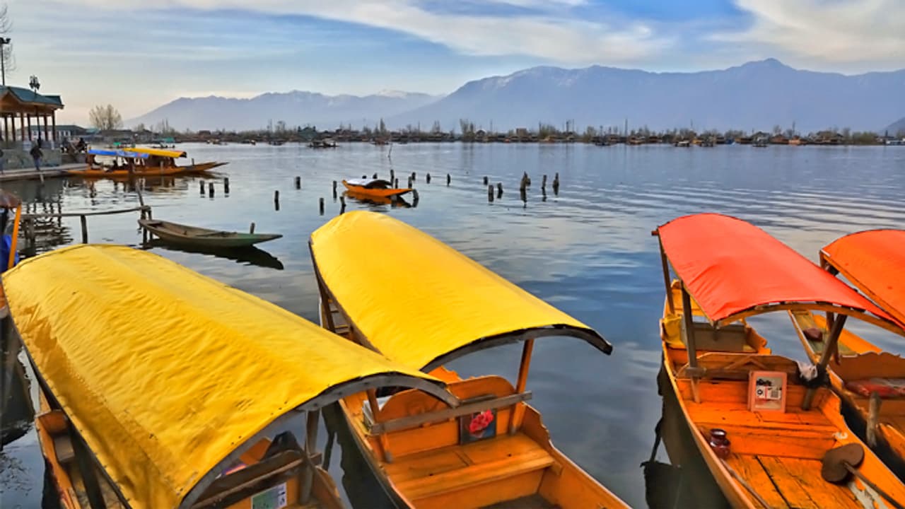 Business idea for Kashmir Business idea for Kashmir