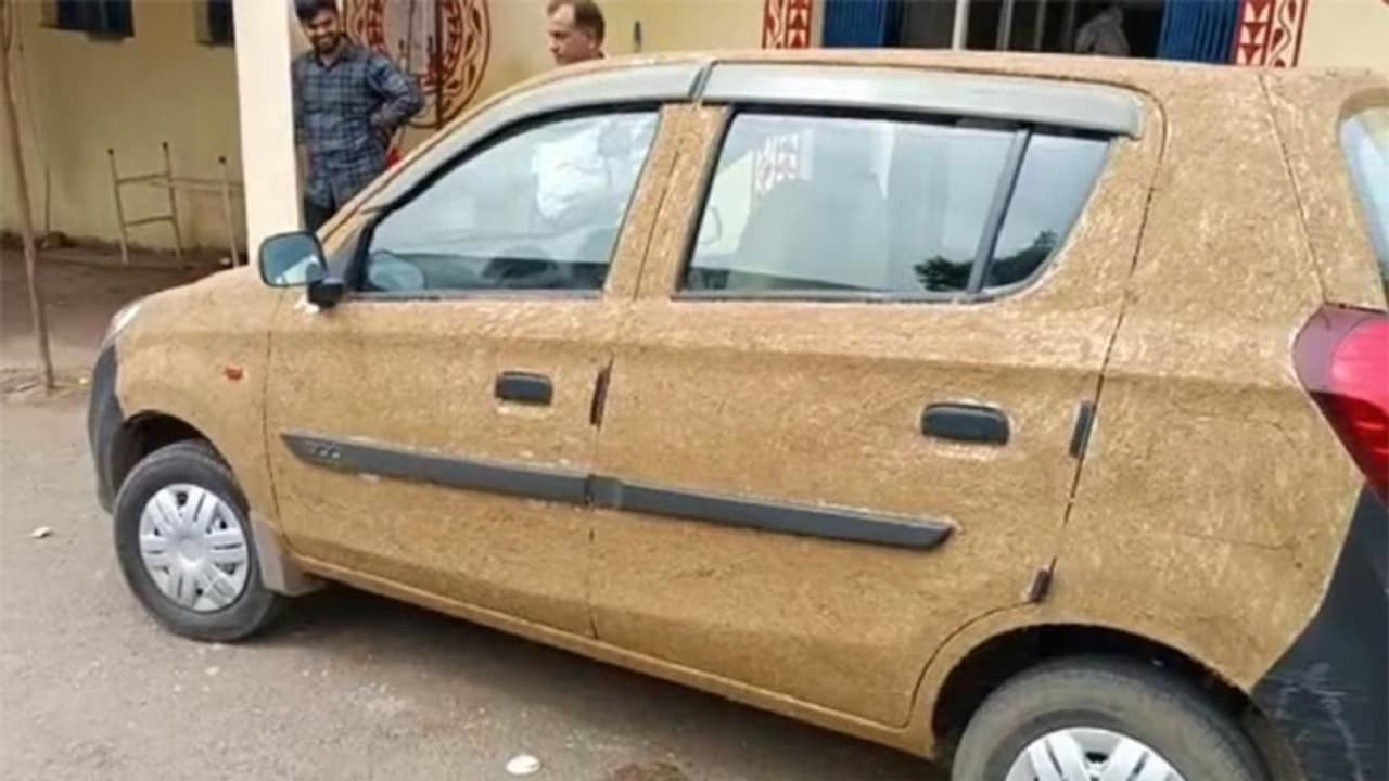 car covered with gobar