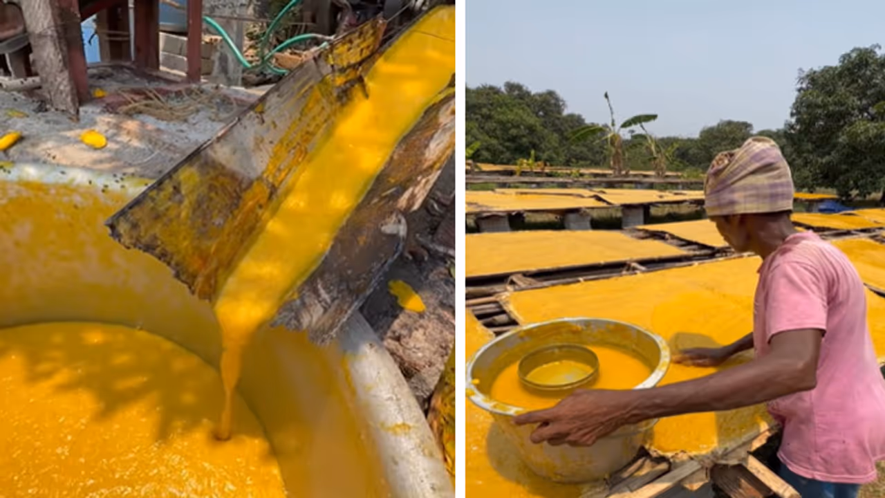 aam papad making process aam papad making process