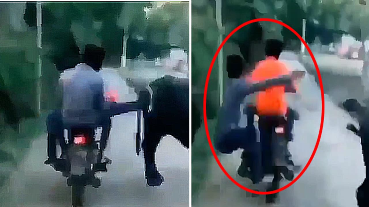 instant karma viral video instant karma viral video