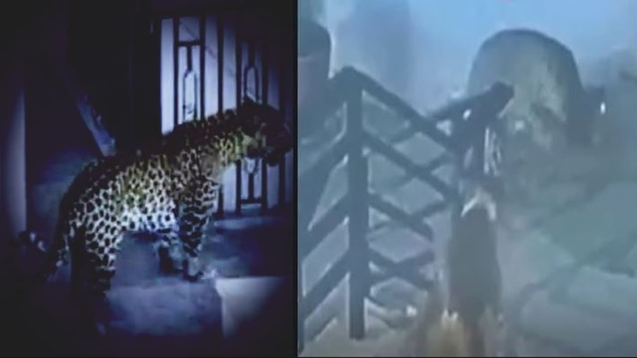 leopard attack on dogs in udaipur
