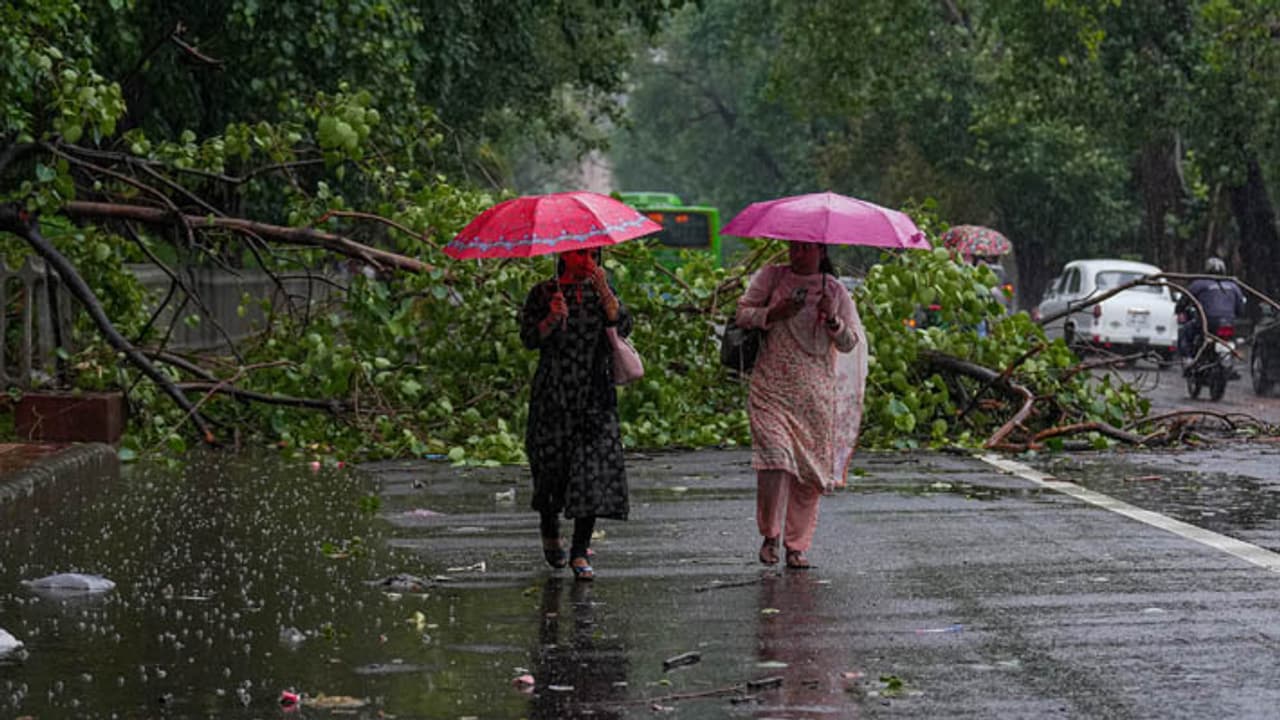 Weather forecast in India Weather forecast in India