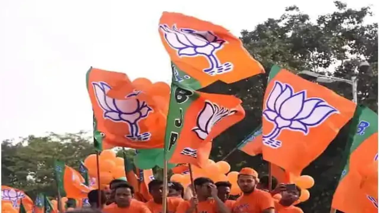 rajashan assembly election