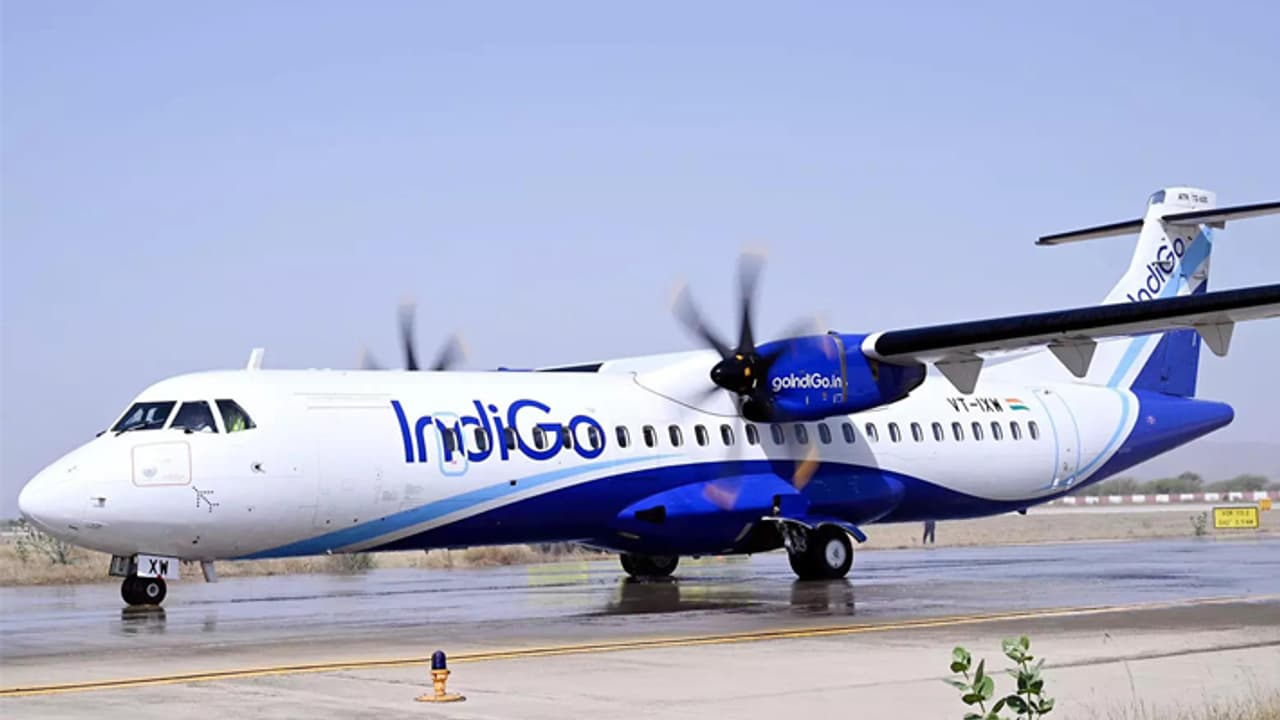 Indigo big deal Indigo big deal