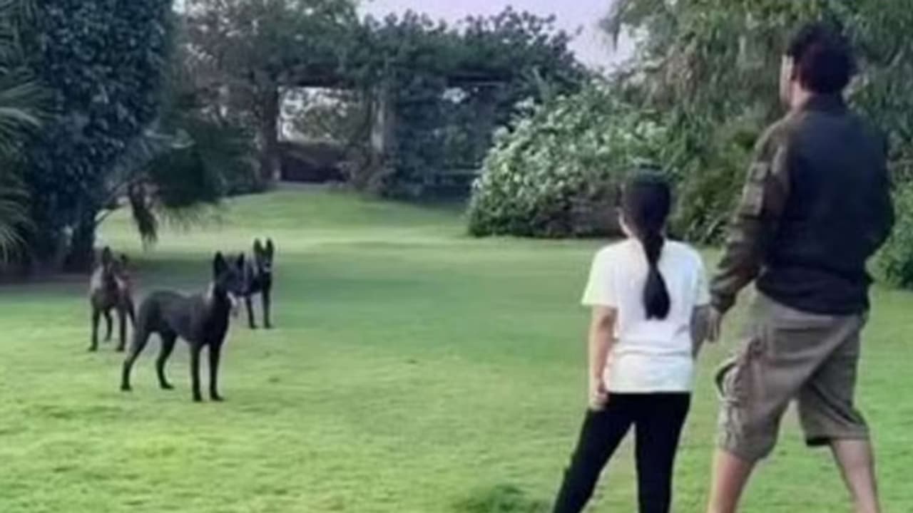 Sakshi Dhoni share recent video of MS Dhoni Sakshi Dhoni share recent video of MS Dhoni