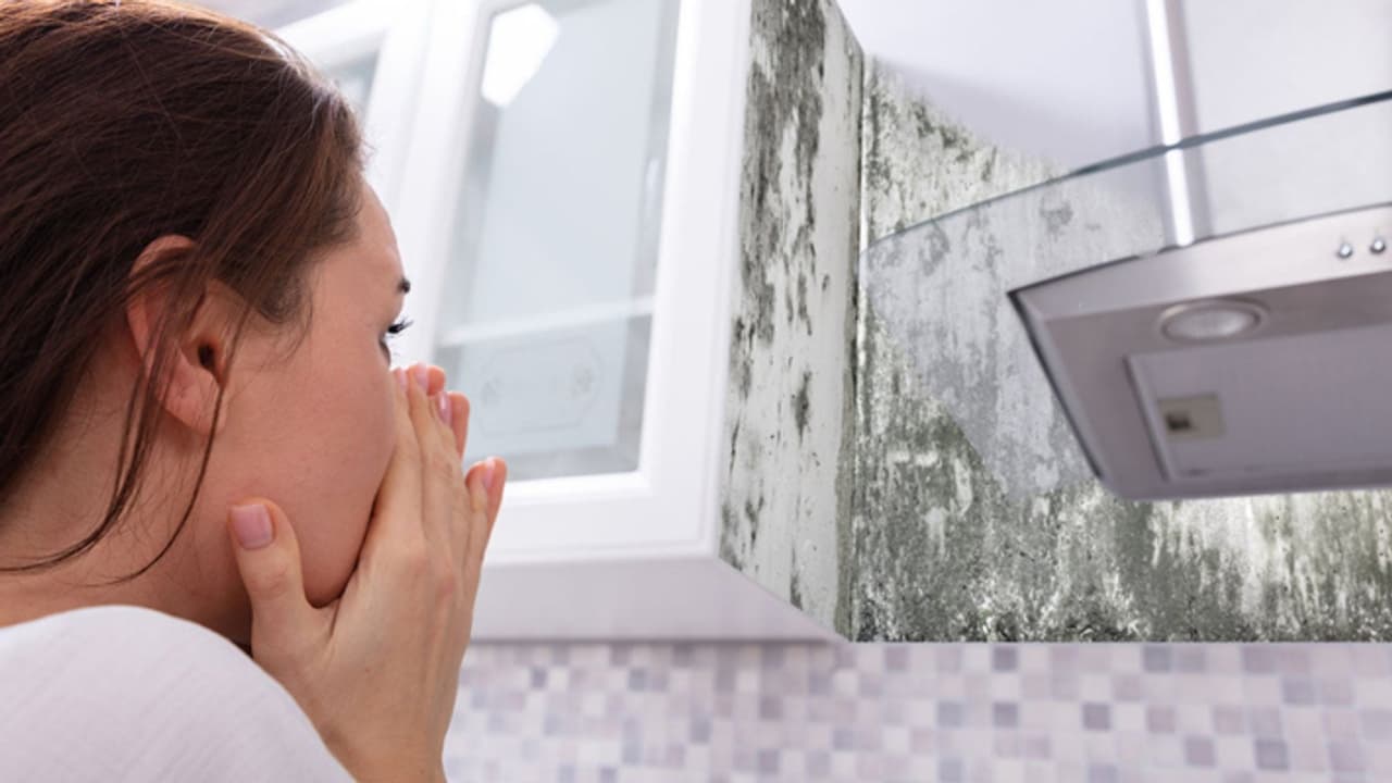 how to get rid of dampness on the walls