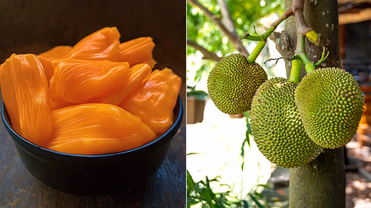 7 Creative Jackfruit Recipes You Can Make at Home 7 Creative Jackfruit Recipes You Can Make at Home