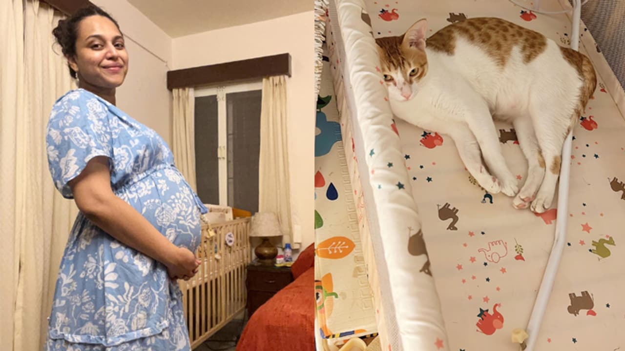 swara bhaskar new photo with baby bump swara bhaskar new photo with baby bump