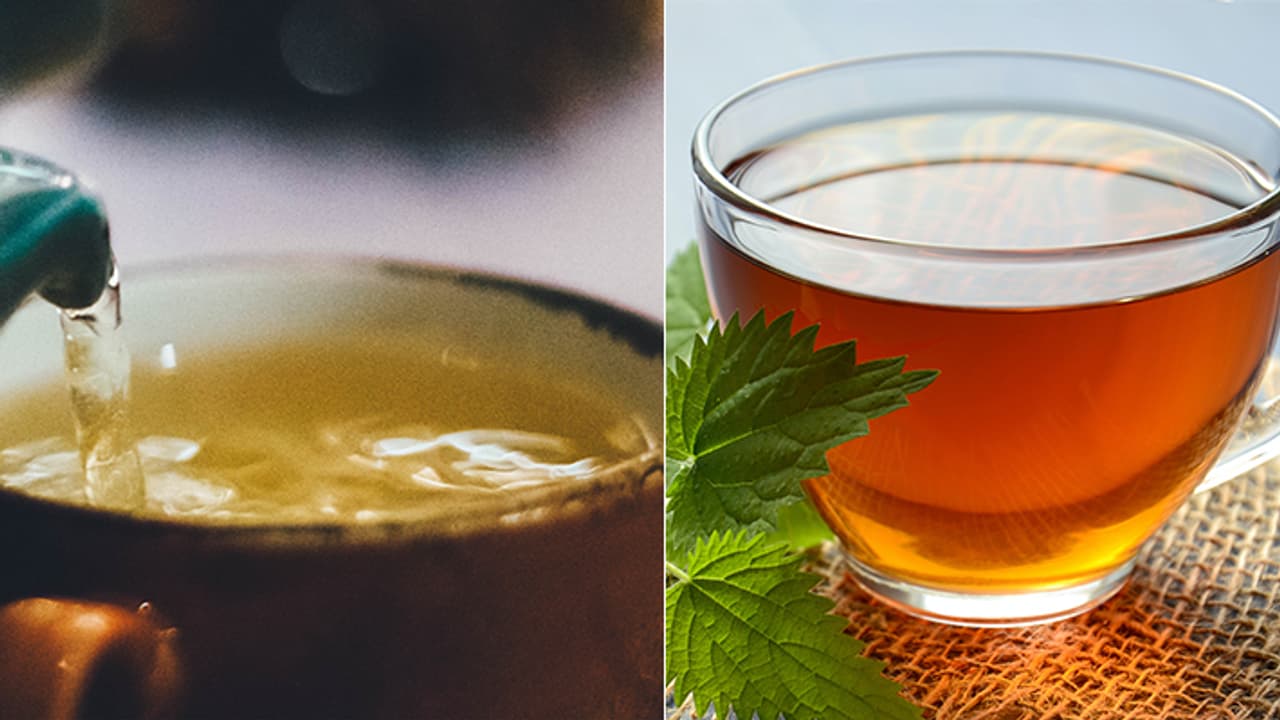 Green Tea Vs Herbal Tea Green Tea Vs Herbal Tea