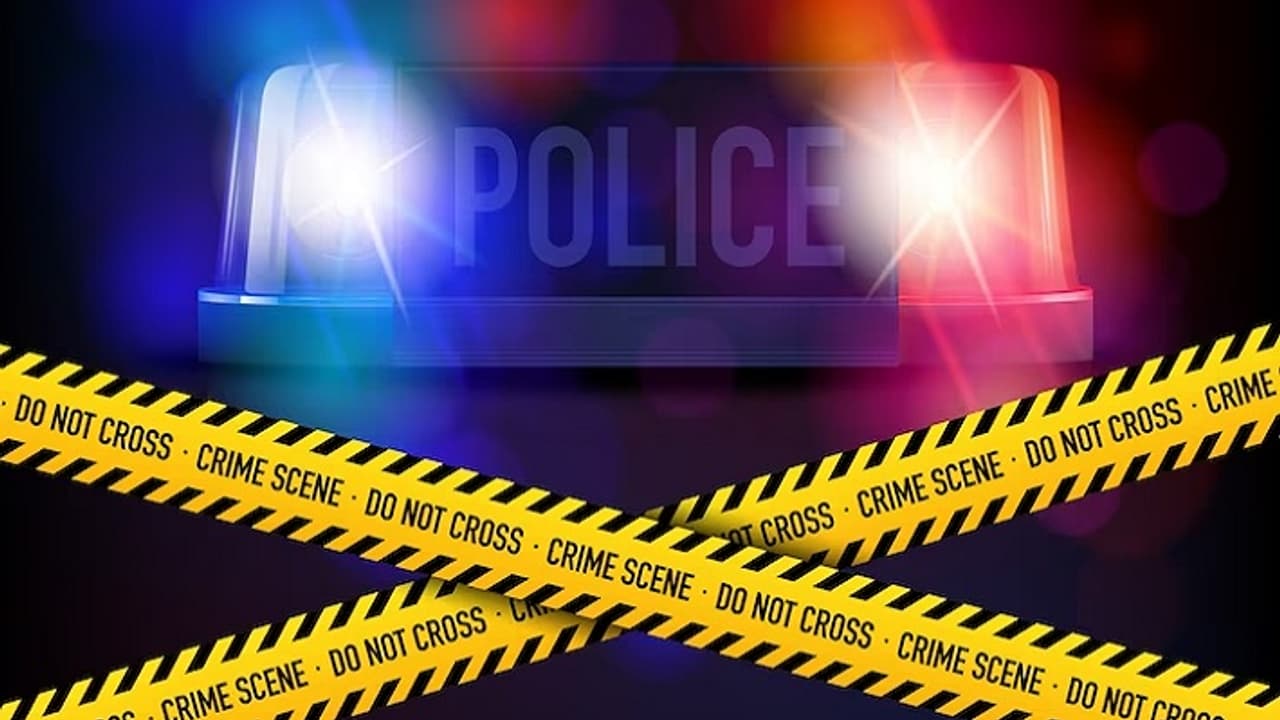 Crime news Crime news