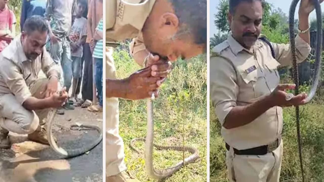 narmadapuram news narmadapuram news