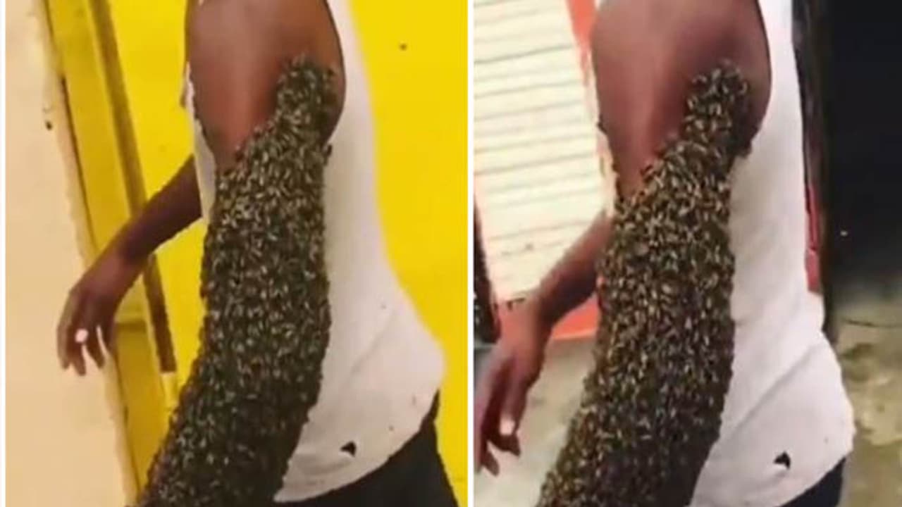 chhindwara news chhindwara news