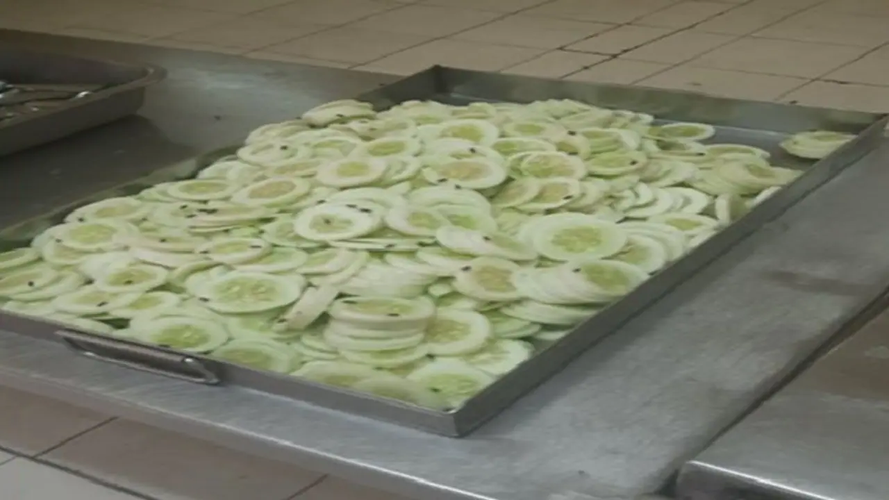 flies and cockroches 1 flies and cockroches 1