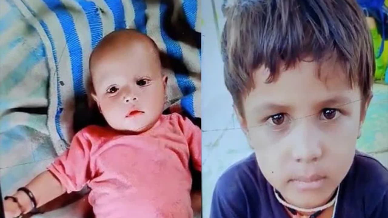 bundi snake bite bundi snake bite