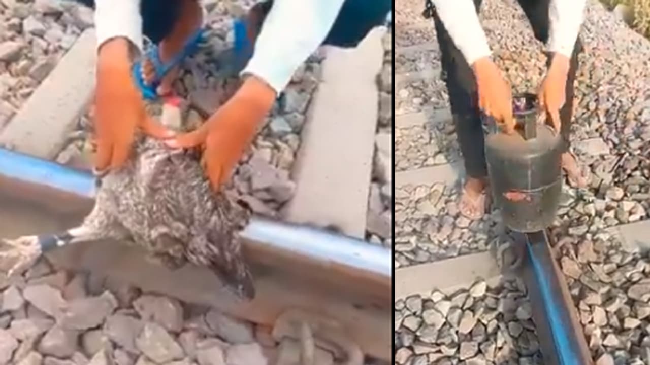 YouTuber Gulzar Sheikh YouTuber Gulzar Sheikh