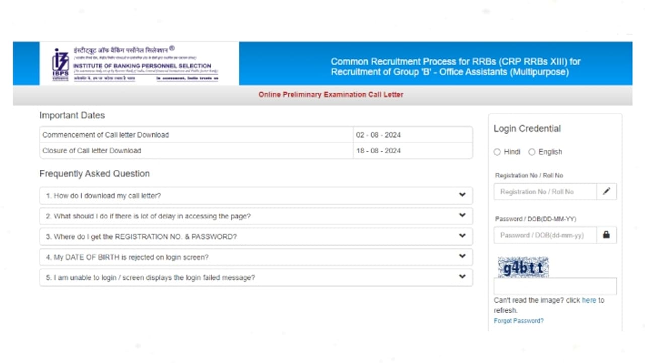 IBPS RRB Clerk admit card 2024 link IBPS RRB Clerk admit card 2024 link